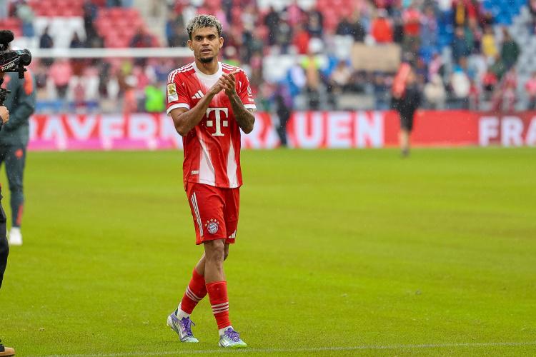 dingy, 上只是候选, 不会对他们 dingy, 上只是候选, 不会对他们