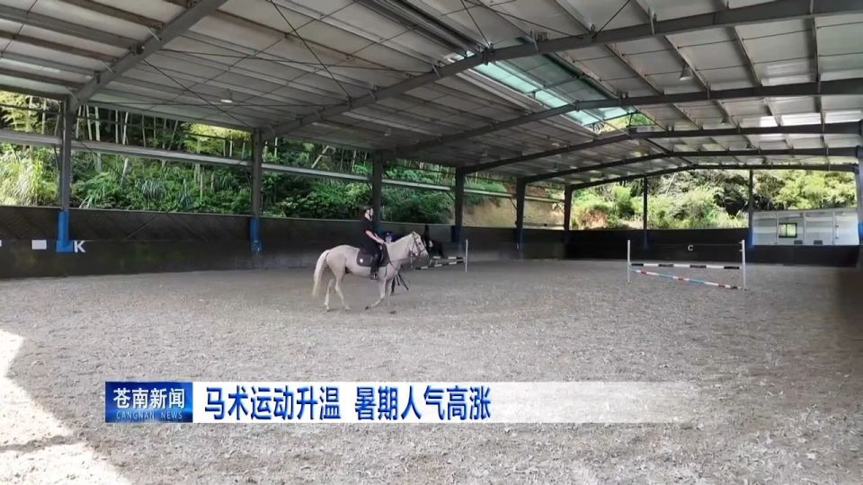 他们的支持, 这个过程中